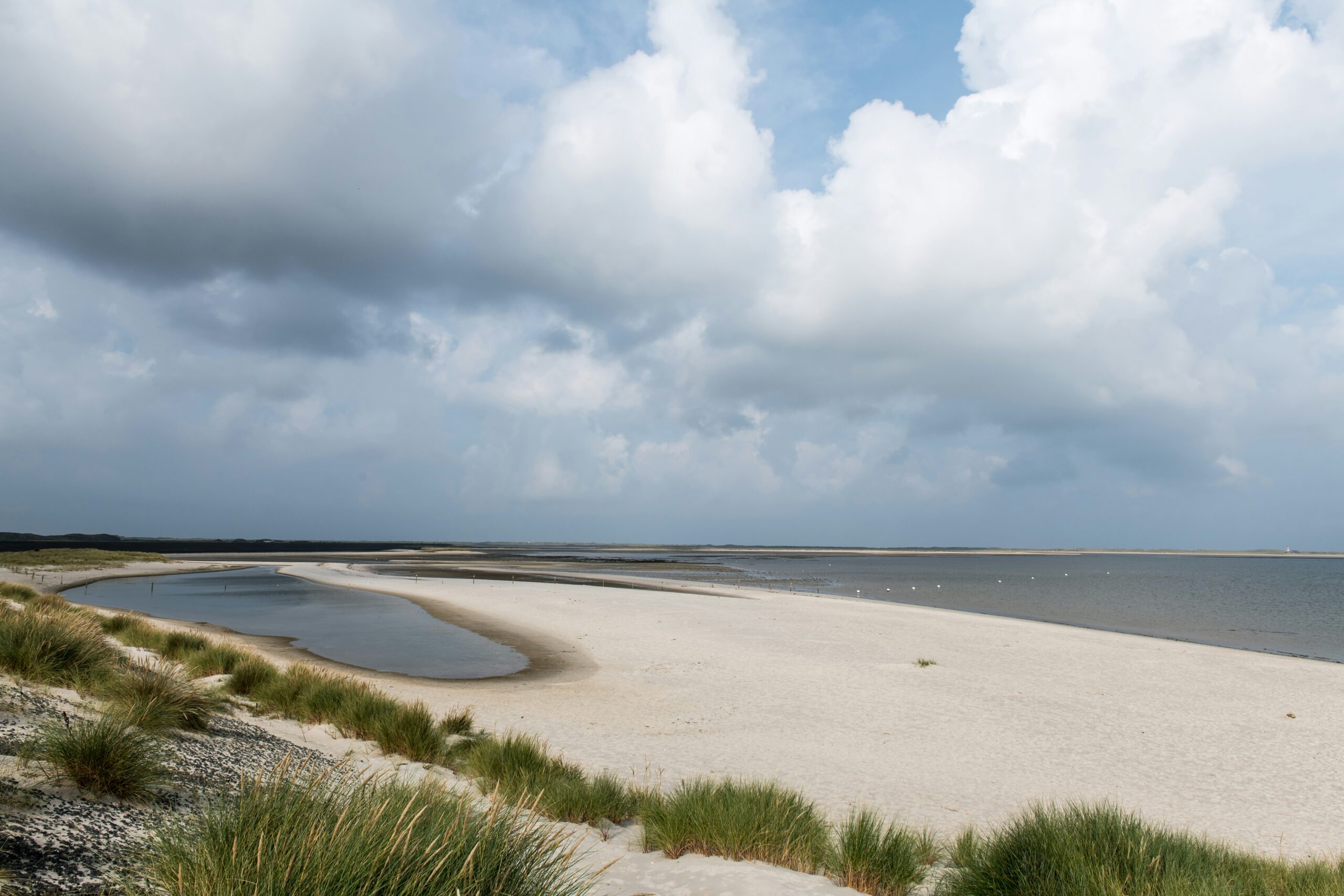 wolfgang-weiser-ugu41Ca_RJY-unsplash